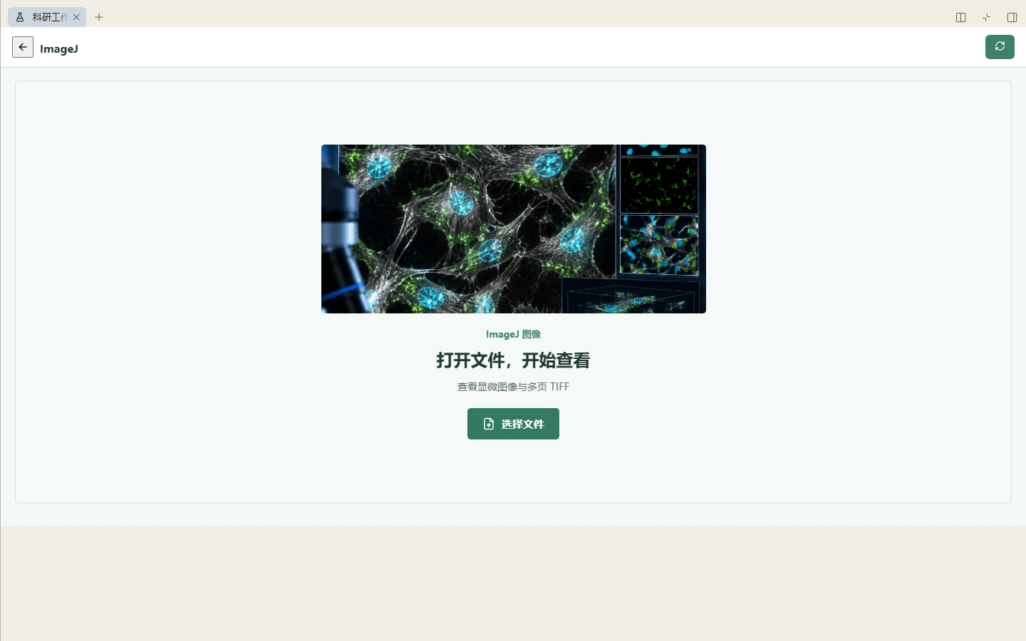 ImageJ 真实文件选择界面，尚未加载科研数据